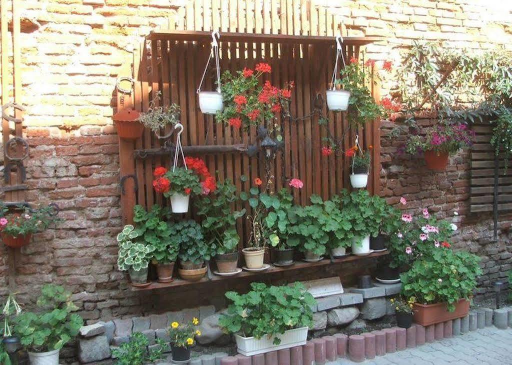Guesthouse Casa Baciu ซีบิว ภายนอก รูปภาพ